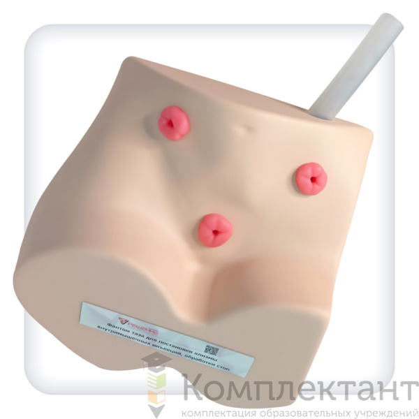 Тренажер постановки клизмы, внутримышечных инъекций, обработки стом