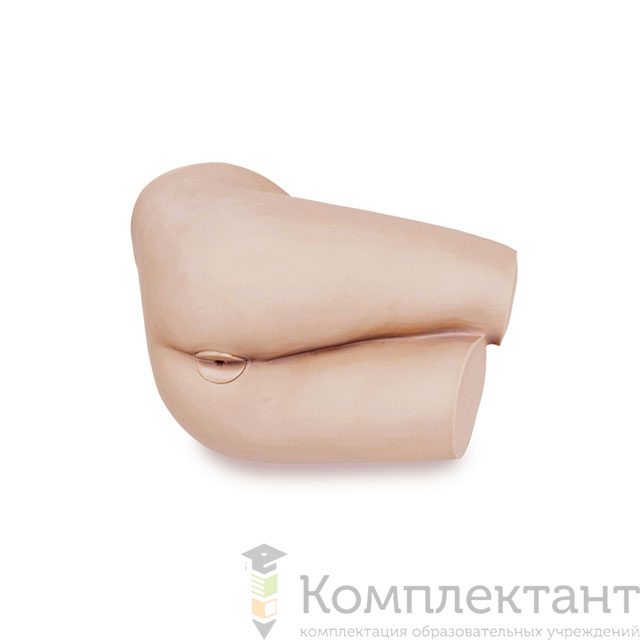 Тренажер ректального исследования